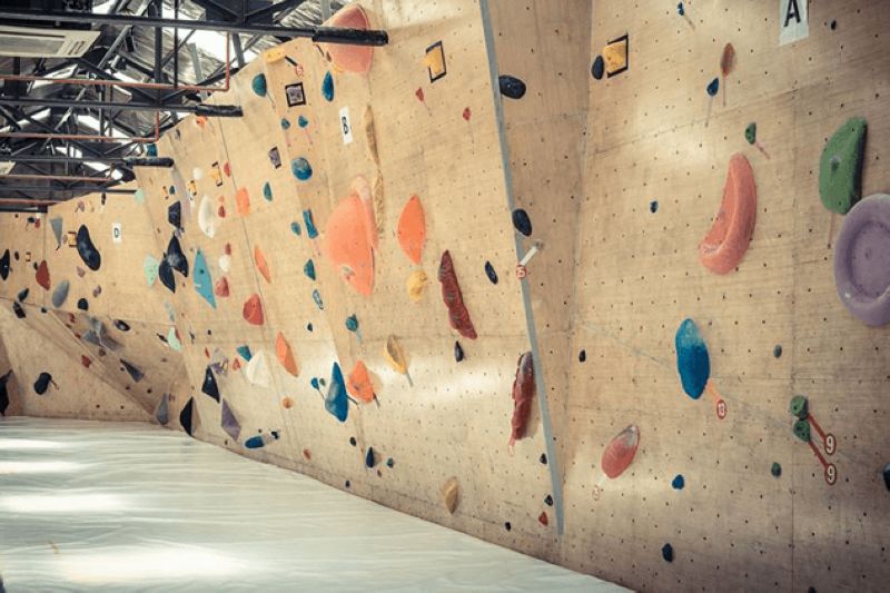 Pongo Climbing Gym